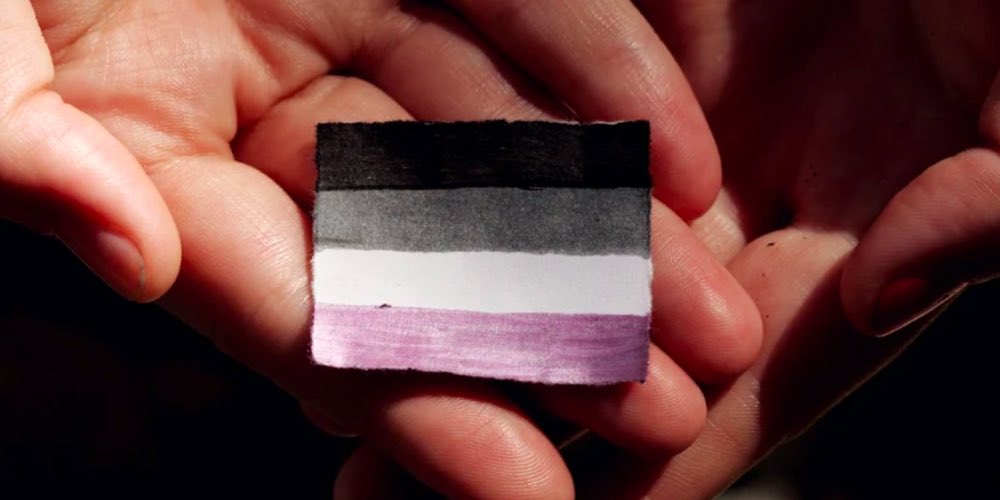 Hands holding a paper card coloured in the colours of the Asexual pride flag: black, grey, white and purple
