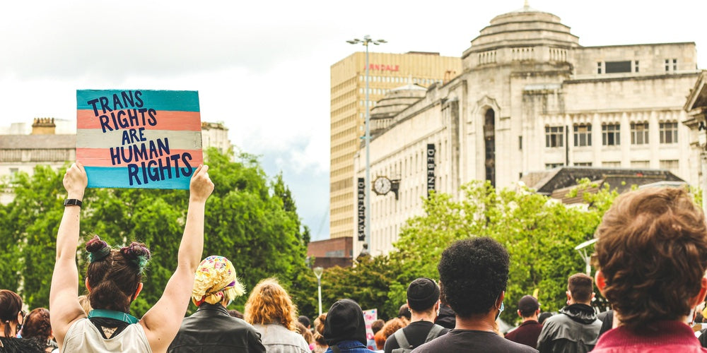 A crowd of people, backs to camera, one holding a placard reading: Trans rights are human rights